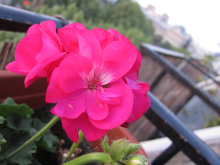 20110430 195716
